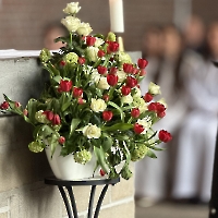 03.05.2026 - Odpust Misji i Rodzinny Festyn Polonijny_305