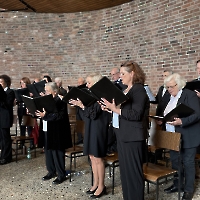 03.05.2026 - Odpust Misji i Rodzinny Festyn Polonijny_356