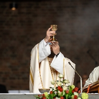 03.05.2026 - Odpust Misji i Rodzinny Festyn Polonijny_435