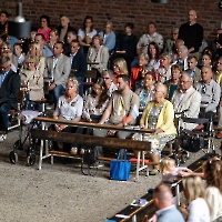 03.05.2026 - Odpust Misji i Rodzinny Festyn Polonijny_454